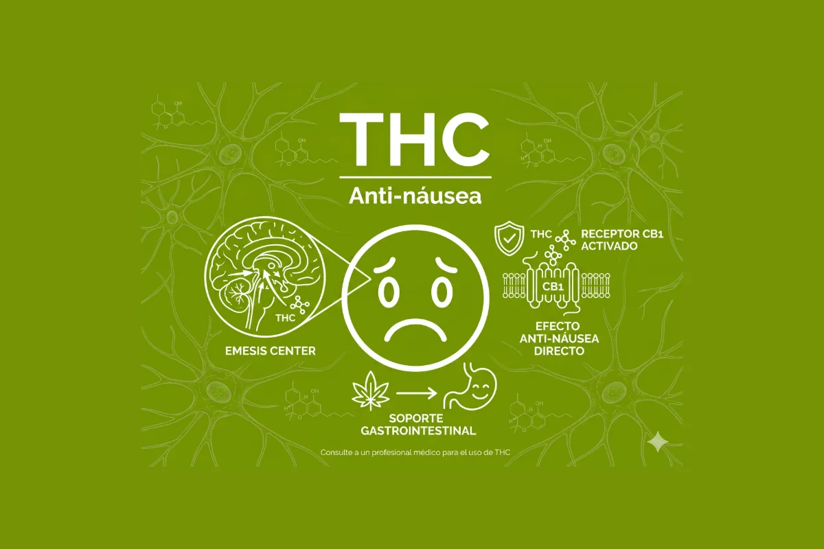 THC antináusea — oncología y quimioterapia